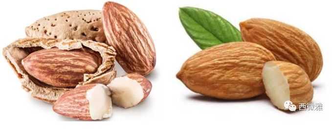 貴族堅(jiān)果-加州扁桃仁(圖10) 貴族堅(jiān)果-加州扁桃仁(圖10)